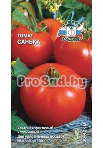 Томат Санька