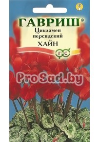 Цикламен персидский Хайн
