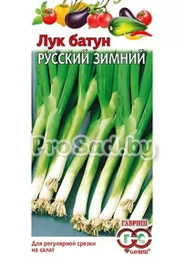 Лук батун Русский зимний