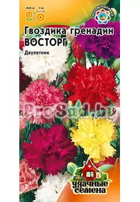 Гвоздика гренадин Восторг, смесь