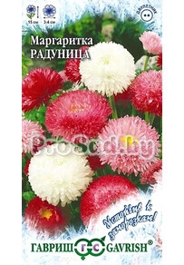 Маргаритка Радуница, смесь