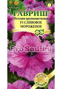 Петуния крупноцветковая F1 Мороженое Сливовое