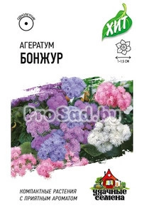 Агератум Бонжур, смесь