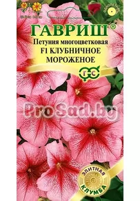 Петуния многоцветковая F1 Клубничное Мороженое