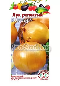 Лук репчатый Эллан