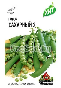 Горох Сахарный 2