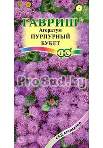 Агератум Пурпурный букет