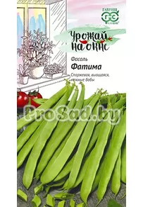 Фасоль спаржевая Фатима