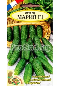 Огурец F1 Мария