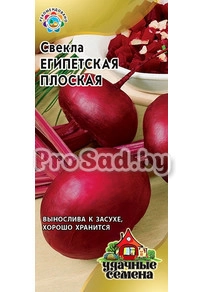 Свекла Египетская плоская