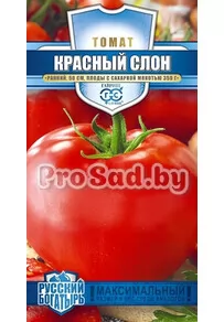 Томат Красный слон