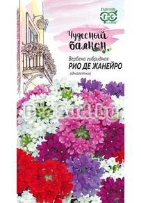 Вербена низкая Рио де Жанейро, смесь