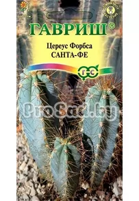 Цереус Форбса Санта-Фе