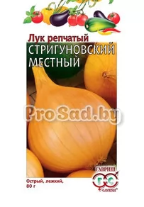 Лук репчатый Стригуновский местный