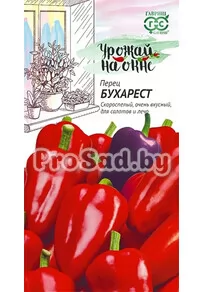 Перец Бухарест (балконный)
