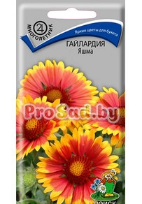 Гайлардия Яшма