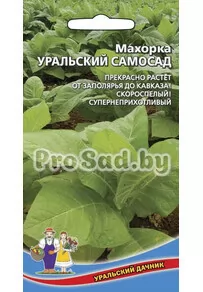 Махорка Уральский самосад