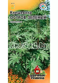 Клещевина Остров зелёный