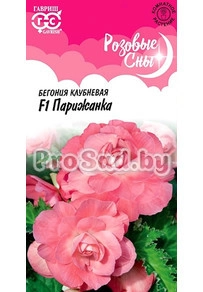Бегония клубневая F1 Парижанка