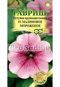 Петуния крупноцветковая F1 Малиновое Мороженое