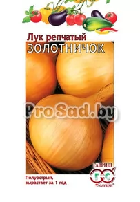 Лук репчатый Золотничок