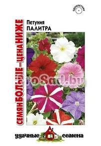 Петуния крупноцветковая Палитра, смесь