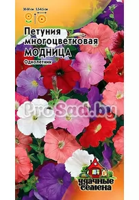 Петуния многоцветковая Модница, смесь
