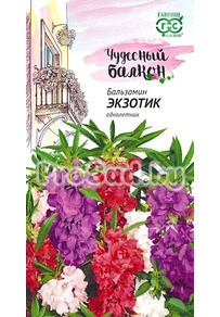 Бальзамин карликовый Экзотик, смесь