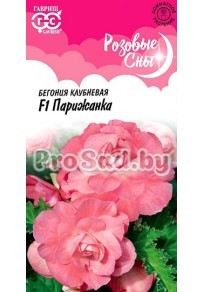 Бегония клубневая F1 Парижанка