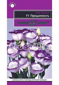 Эустома F1 Преданность