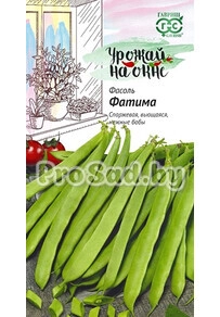 Фасоль спаржевая Фатима