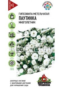 Гипсофила метельчатая Паутинка