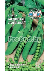 Горох Медовая лопатка