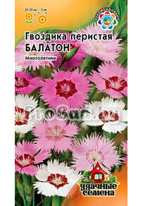 Гвоздика перистая Балатон, смесь