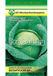 Капуста белокочанная Белорусская 85