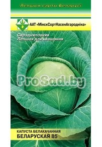 Капуста белокочанная Белорусская 85