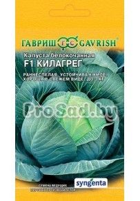 Капуста белокочанная F1 Килагрег (Голландия)