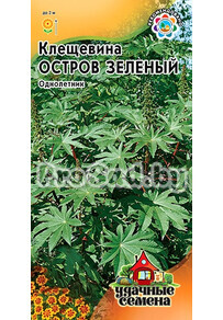Клещевина Остров зелёный