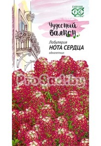 Лобулярия Нота сердца