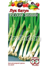Лук батун Русский зимний
