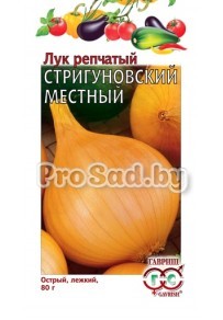 Лук репчатый Стригуновский местный