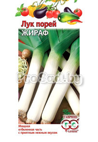 Лук порей Жираф