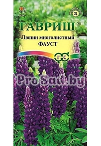 Люпин многолистный Фауст