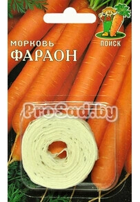 Морковь Фараон