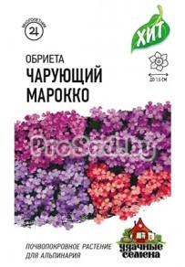 Обриета крупноцветковая Чарующий Марокко, смесь