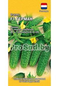 Огурец F1 Герман (Голландия)