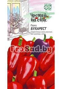 Перец Бухарест (балконный)