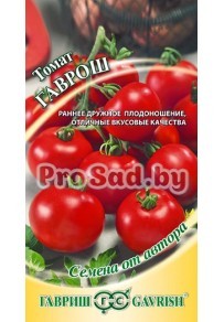 Томат Гаврош