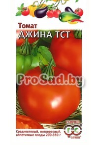 Томат Джина ТСТ