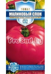 Томат Малиновый слон